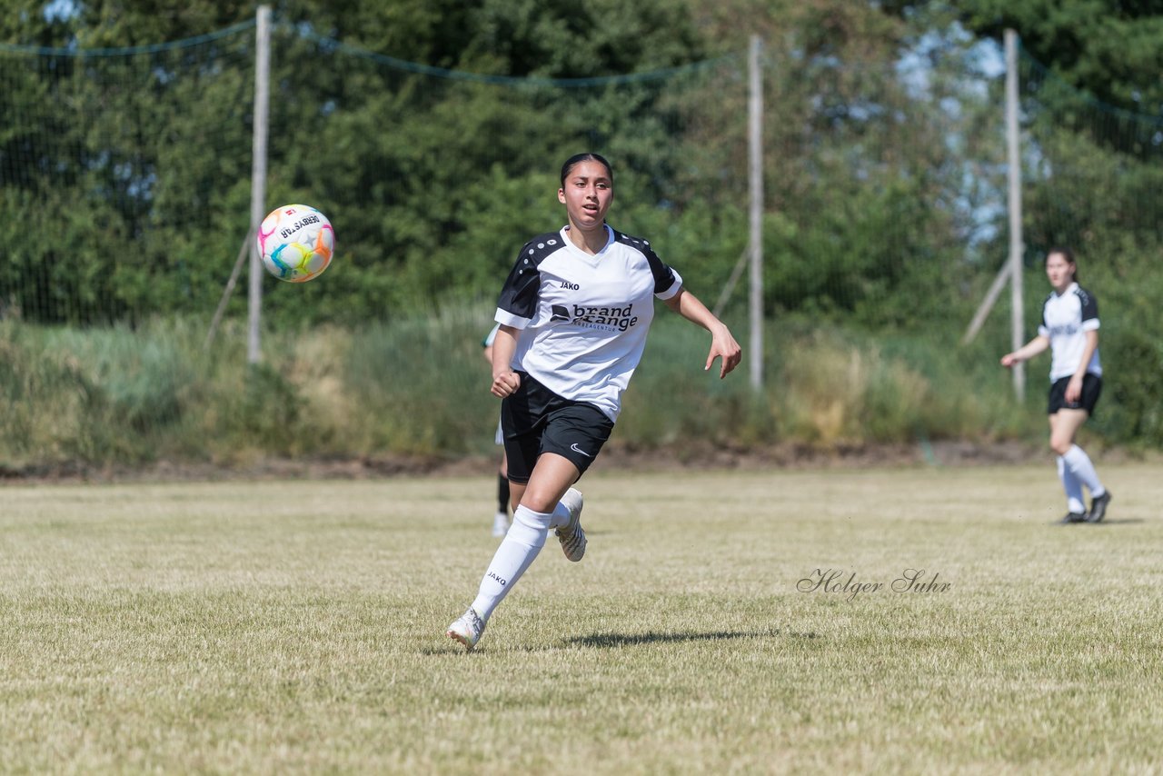 Bild 189 - wBJ TuRa Meldorf/Buesum - JFV Luebeck : Ergebnis: 1:0